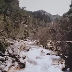 Live Cazorla